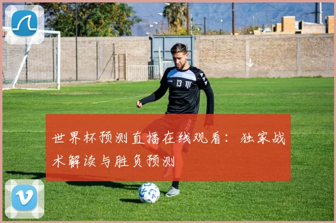 世界杯预测直播在线观看：独家战术解读与胜负预测